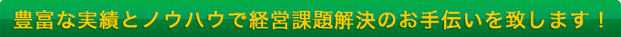 豊富な実績とノウハウで経営課題解決のお手伝いを致します！